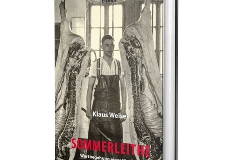 Klaus Weise: Sommerleithe – Ein Familienroman übers Aufwachsen in bundesrepublikanischen Wirtschaftswunder-Zeiten