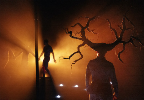 Asche – Thalia Theater Hamburg – Jette Steckel inszeniert Elfriede Jelineks Trauerstück über Abschied und Verlust