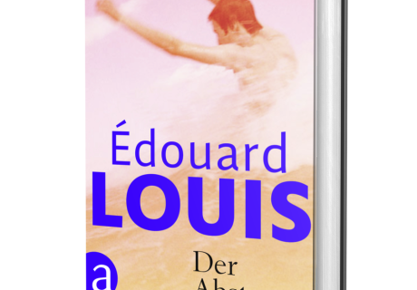 Édouard Louis: Der Absturz 