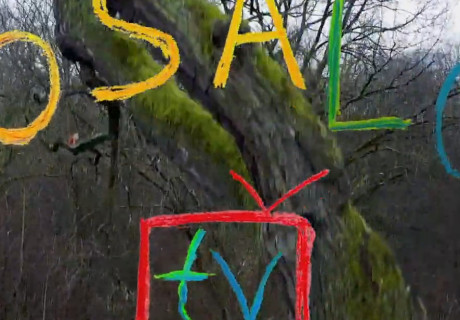 ECOSALOONtv – Die Videoserie zur Livestream-Diskussion 