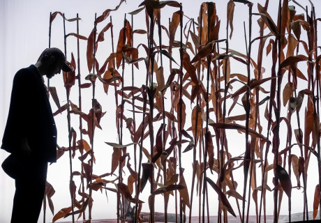 Früchte des Zorns – Volkstheater München – Max Lindemann inszeniert John Steinbecks Roman als sehr heutige Klimadystopie