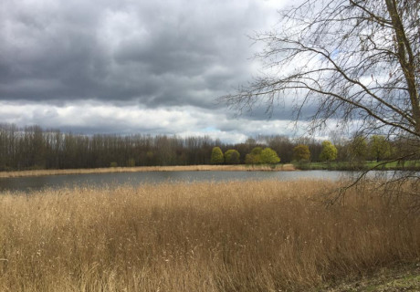 Fonds Ästhetik und Nachhaltigkeit