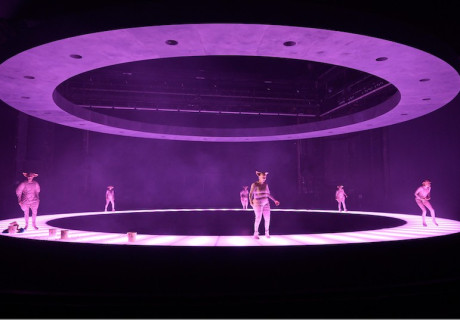 Lärm. Blindes Sehen. Blinde Sehen! Was ich sagen wollte – Schauspiel Frankfurt – Stefan Bachmann inszeniert Elfriede Jelineks Corona-Stück als Schweine-Ballett