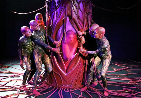 Queens – Theater Dortmund – Frauen als Machthabende zeigen Jessica Weisskirchen und Team in ihrer Überschreibung von Schillers 