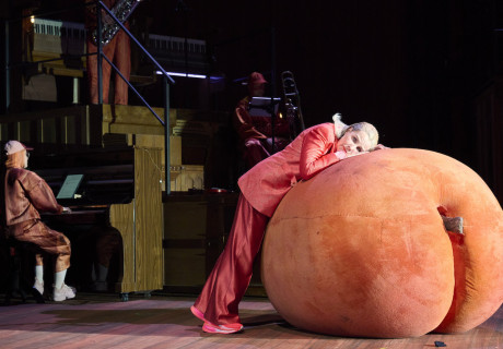 Was ihr wollt – Thalia Theater Hamburg – Anne Lenk eröffnet die neue Thalia-Intendanz von Sonja Anders