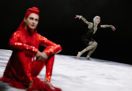 Phädra, in Flammen – Burgtheater Wien – Nino Haratischwilis Antikengemälde einer Midlife-Crisis kommt durch Tina Lanik zur österreichischen Erstaufführung
