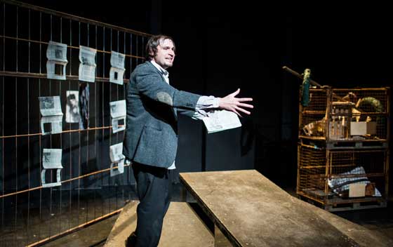 ZigeunerBoxer2 560 AndreasTamme u