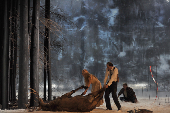 meine bienen5 560 hans joerg michel u