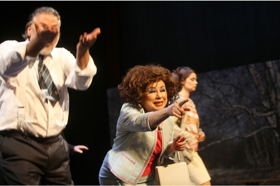 derbesuchderaltendame1 560 silke winkler u