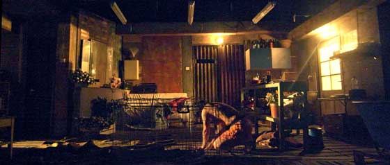 schande 0009 560 marton agh u