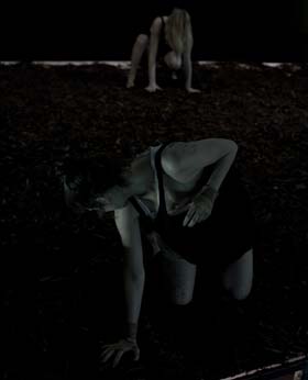 the wasp factory 280h yannmingard u