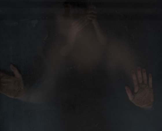 the wasp factory 560a yannmingard u