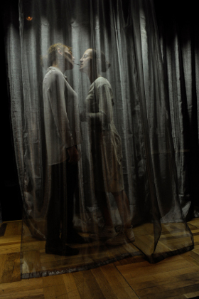 queen recluse 280h alexi pelekanos u