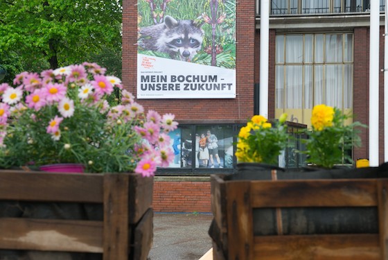 Detroit1 560 DianaKuester x