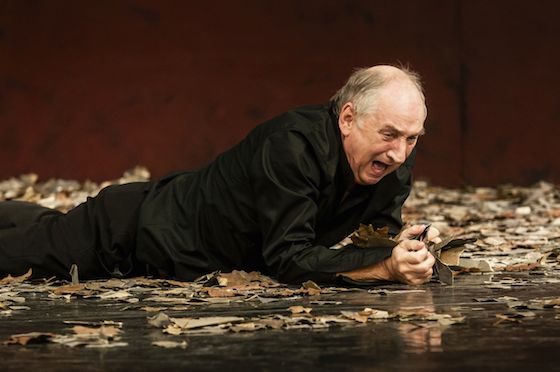 dergeizige rennhack 560 inkalotz u