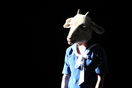 nora3 560 birgithupfeld u