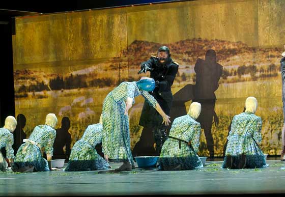 Hollaender4 560 DavidBaltzer u