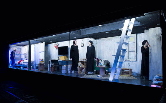 bakchen 535918 560 ilja mess u