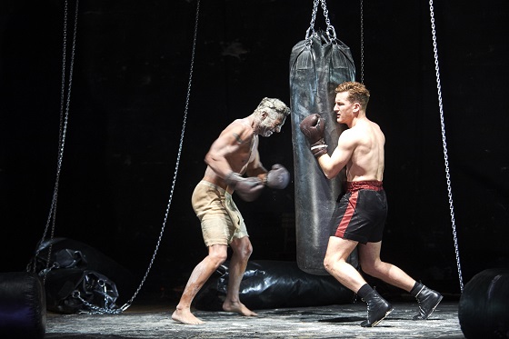 derboxer2 560 erich reismann u