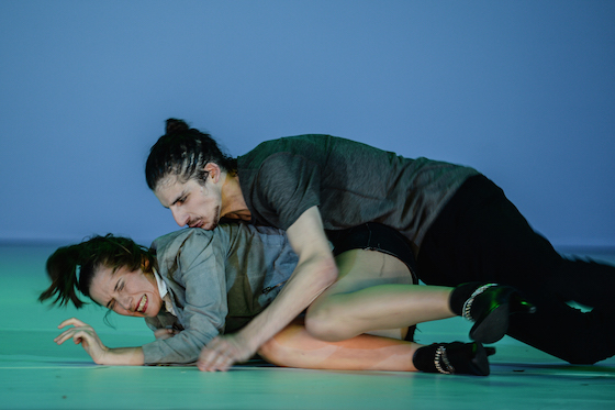 birdland09 560 joerg michel h