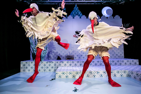 1012 Erlangen KalifStorch 560