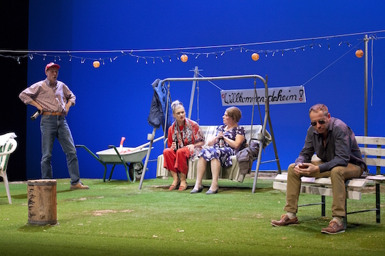 Birkenbiegen2 560 MiroslawNowotny u