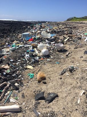 SiebterKontinentReise