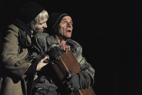 petuschki1 560 foto ed u