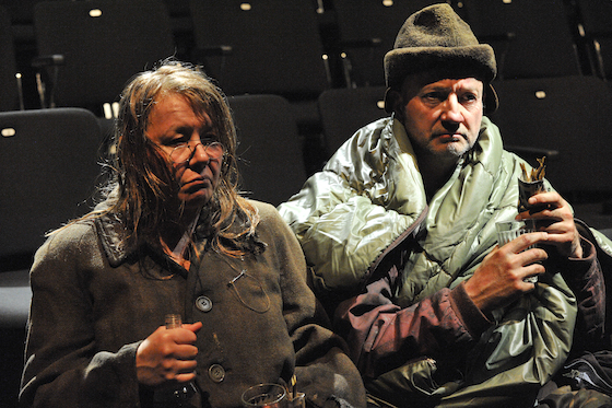 petuschki2 560 foto ed u