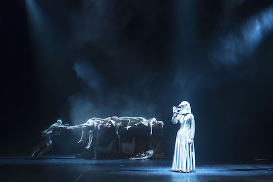 BelgianRules BelgiumRules 560b WongeBergmann u