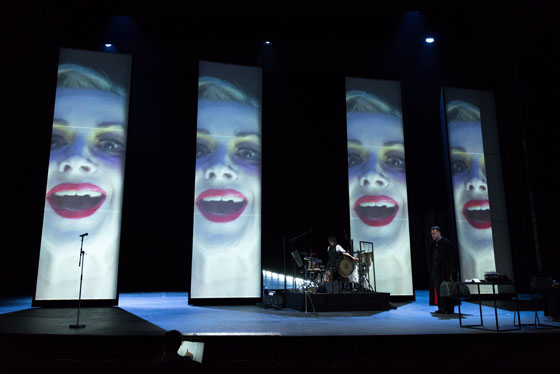 Mephisto 6 560 Reinhard Werner u