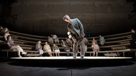 Rosa 23 560 Reinhard Werner u