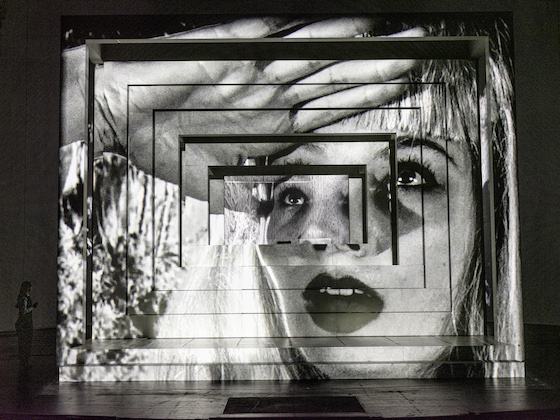 Lulu 4 560 Julian Roeder u