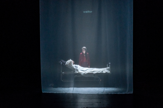 Voegel1 560 Krafft Angerer u