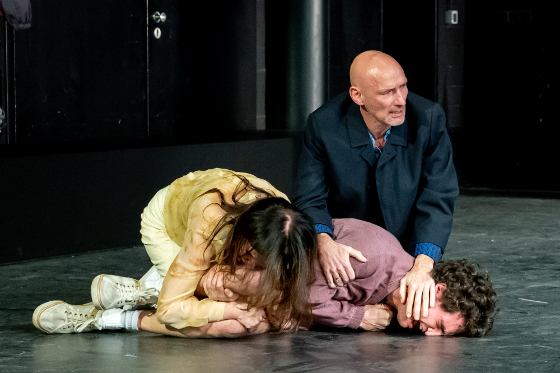 Voegel3 560 Krafft Angerer u