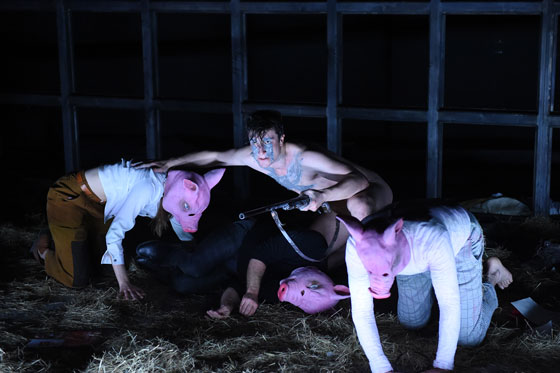 Letzte Sau 3 560 Martin Kaufhold