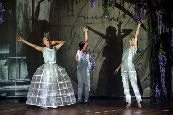 Bovary1 560 jan pieter fuhr u