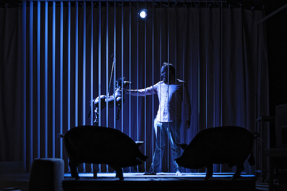 DanishPork 3 560 GianmarcoBresadola u