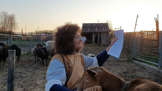 DTBerlin NiklasWetzel 560 Screenshot