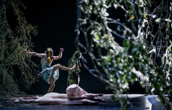 WienerWald 3 560 ArnoDeclair u