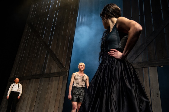 DerstarkeStamm2 560 vl Doelle Nussbaum Velis c Sandra Then u