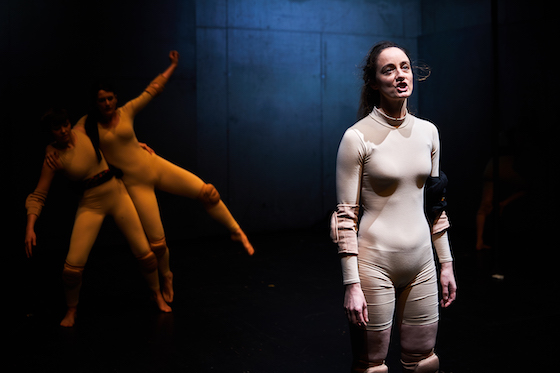 Front 2 560 Meinschaefer u