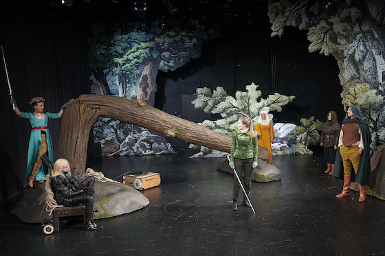 RobinHood 560 UweSchinkel u