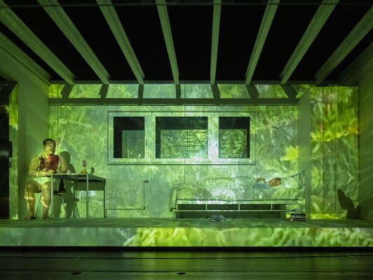 nibelungen 2 c thomasrabsch u