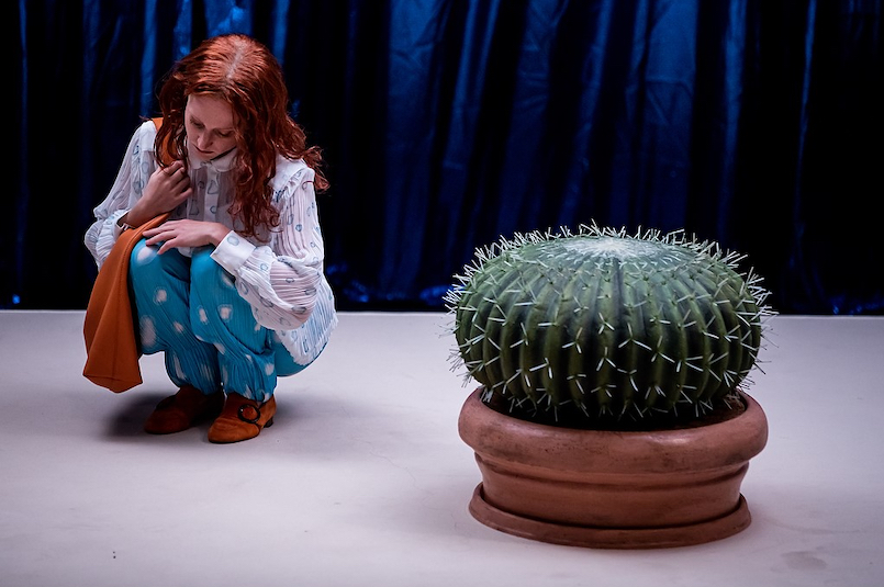 Stranger3 805 AnnemoneTaake