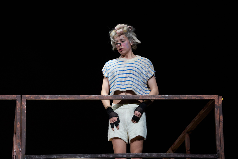 animal farm 3 julian gutmann c judith buss 