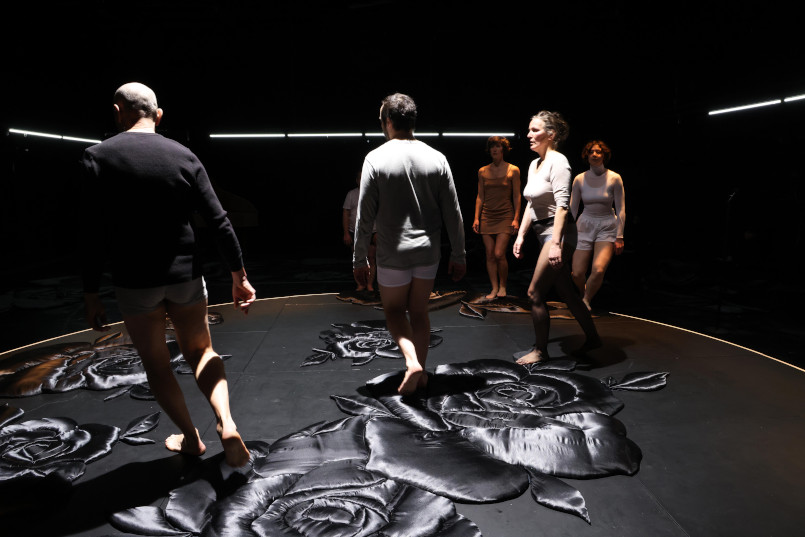 Bienen2 Jörg Landsberg u