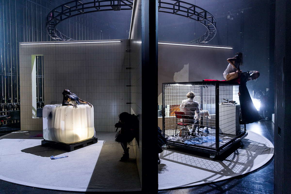 WASTELAND 1 Jasmin Schuller