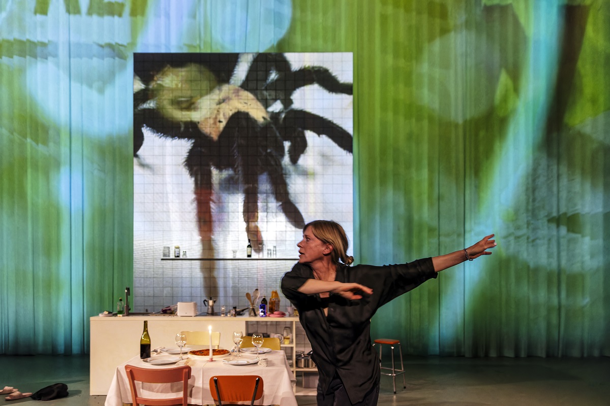 Spinne1 1200 Gianmarco Bresadola