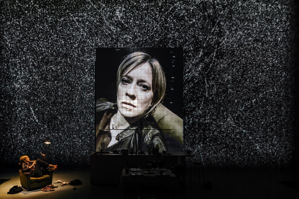 Spinne2 1200 Gianmarco Bresadola